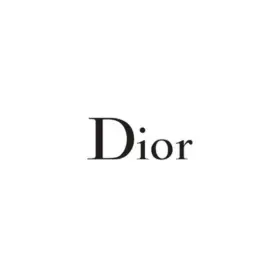 Dior Bags