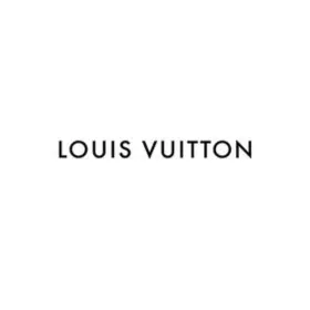 Louis Vuitton Bags